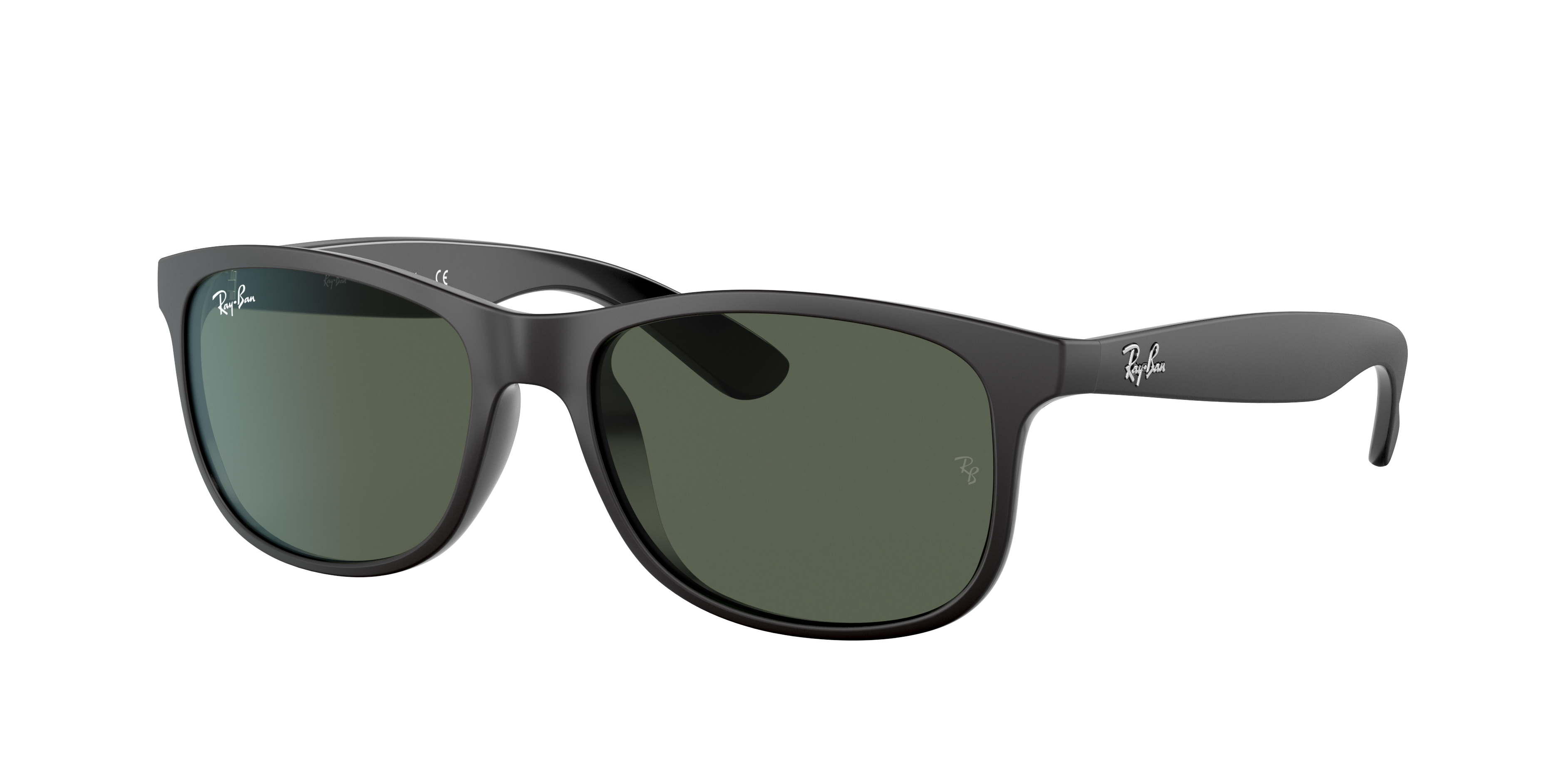 Ray-Ban 0RB4202 in Matte Black 