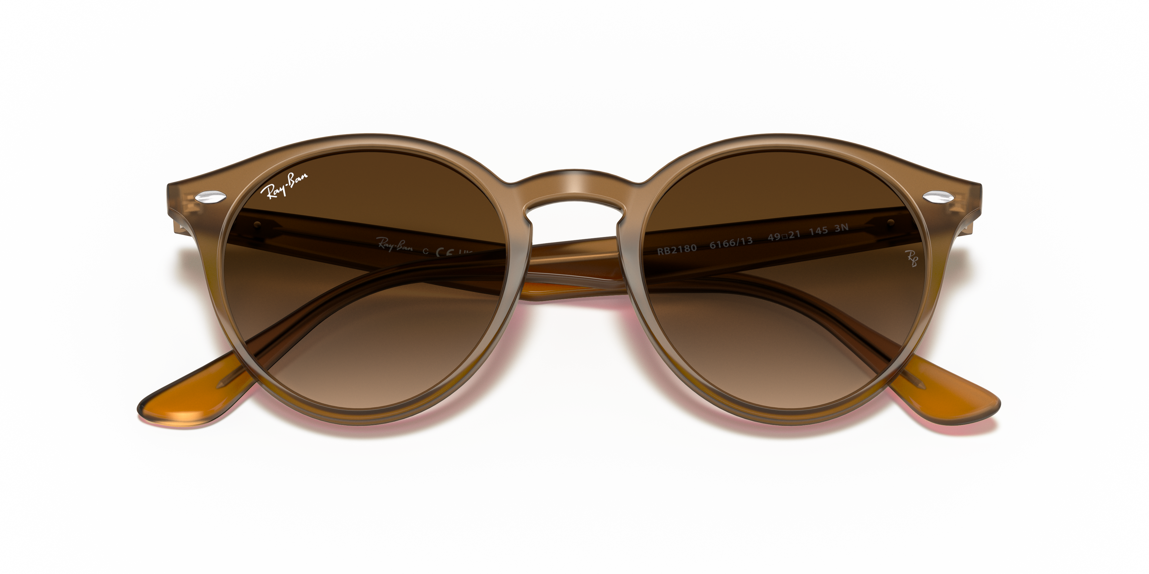 ray ban turtle dove