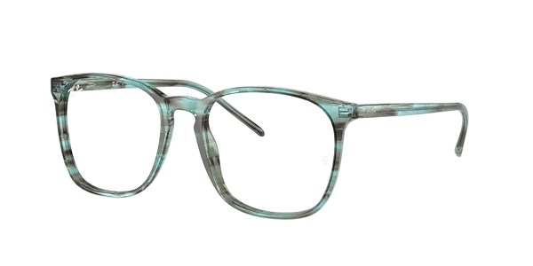 Ray-Ban RB5387 Optics