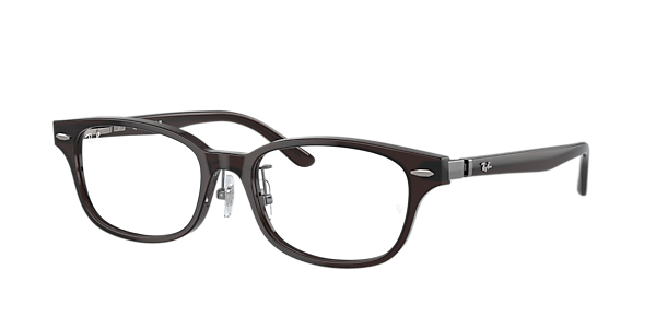 Ray-Ban RB5427D Optics