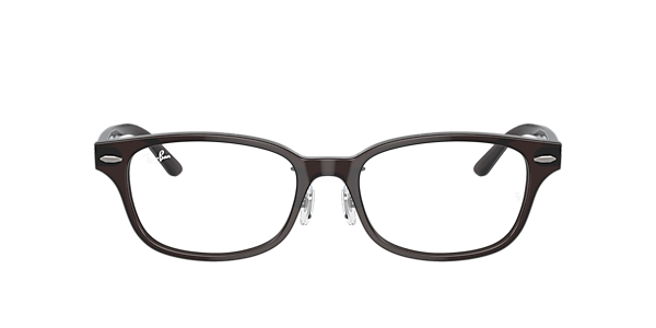 Ray-Ban RB5427D Optics