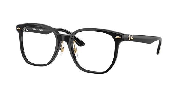 Ray-Ban RB5425D Optics Year Of The Snake Edition