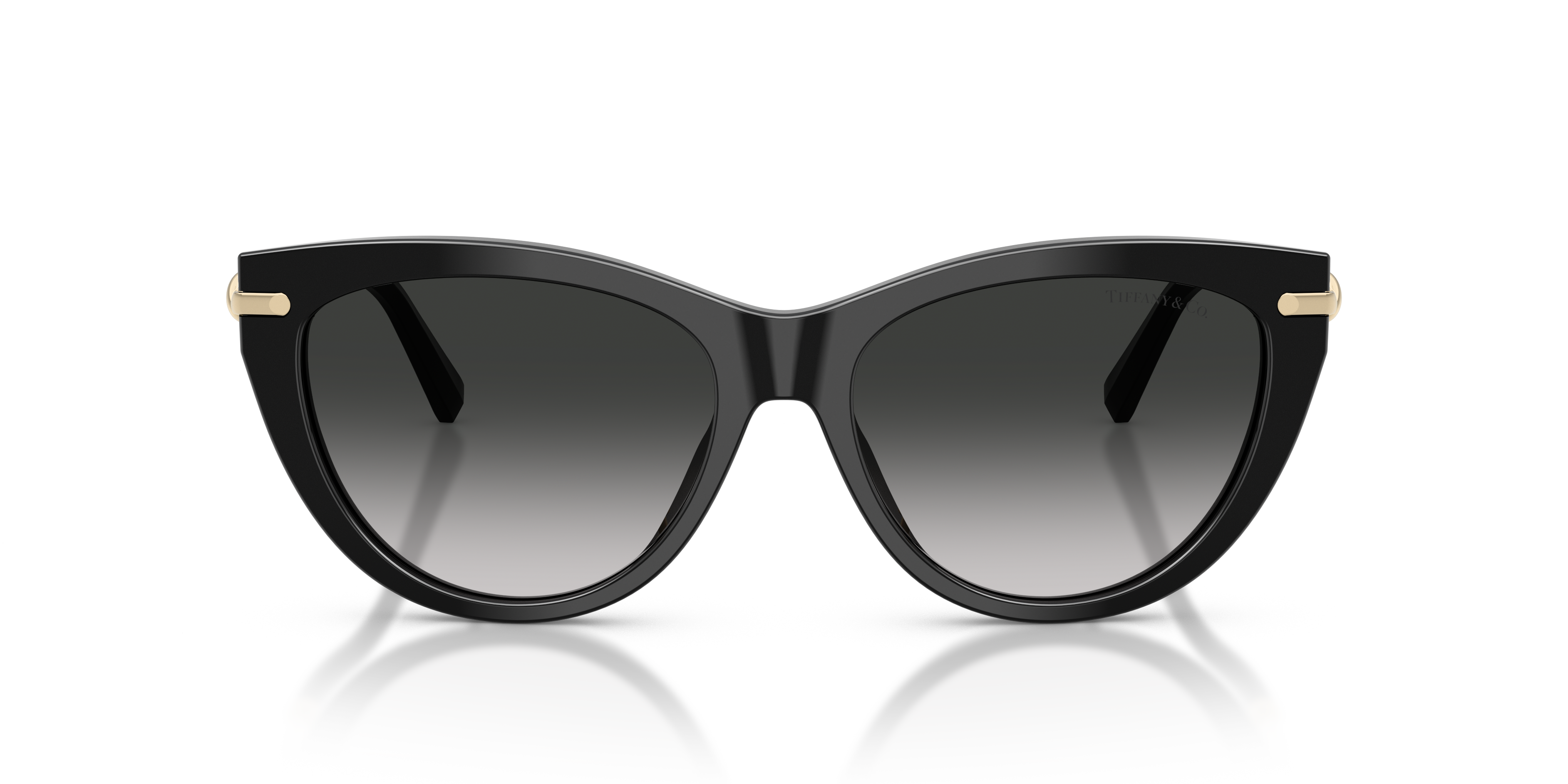 TIFFANY & CO. TF4253F eyewear