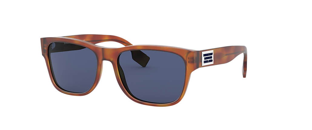 0BE4309 BE4309 Carter Sunglasses in | OPSM