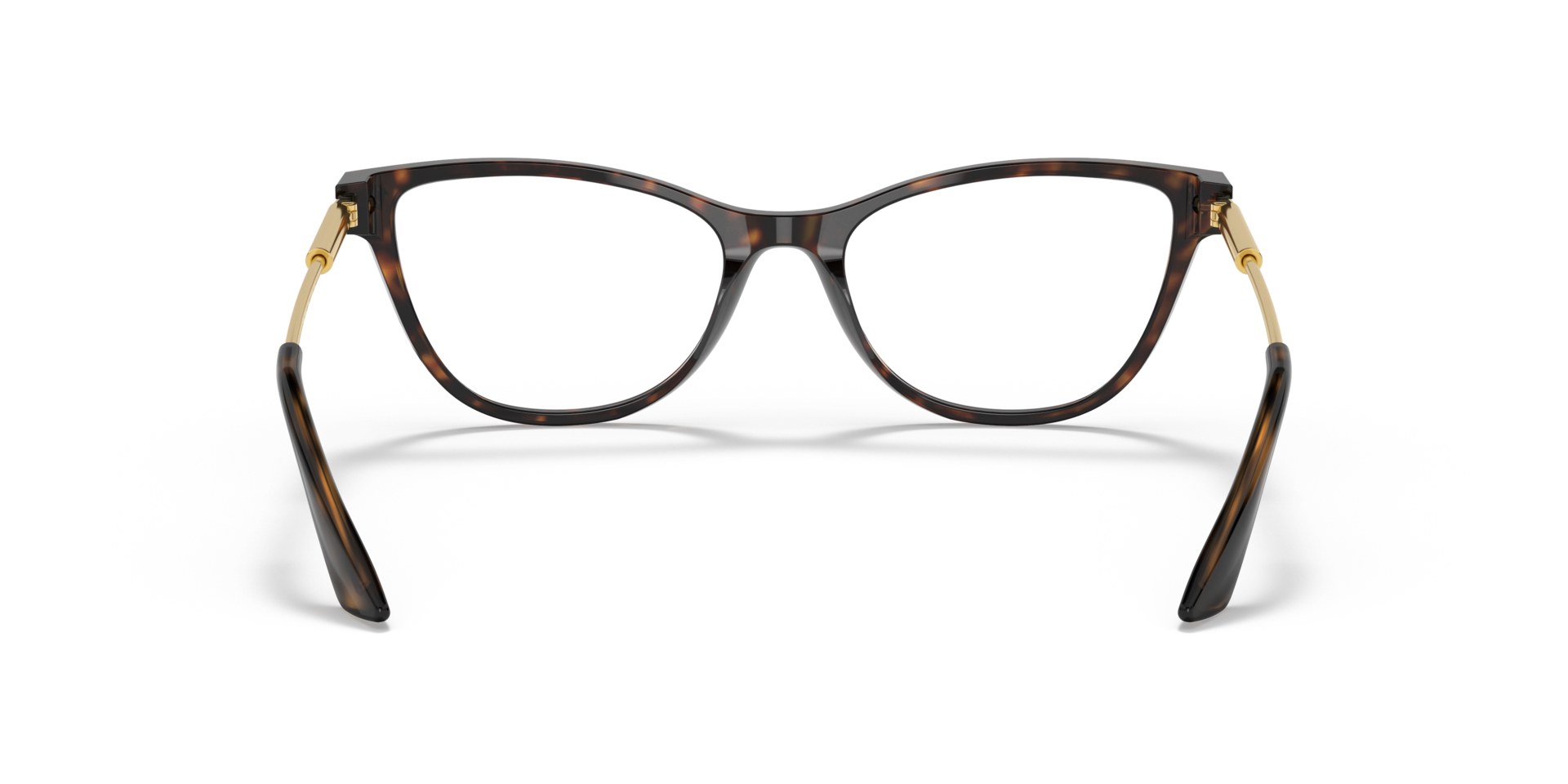 VE3309F Glasses in Havana Acetate | OPSM