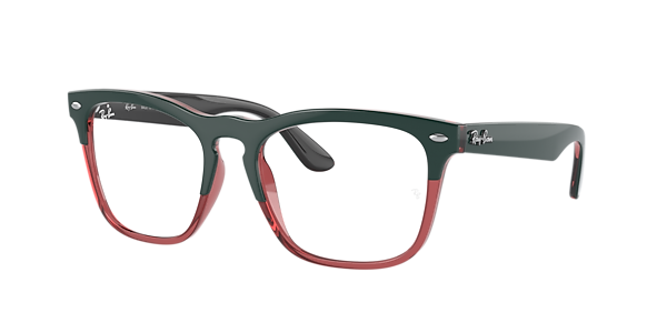 Ray-Ban RB4487V Steve Optics